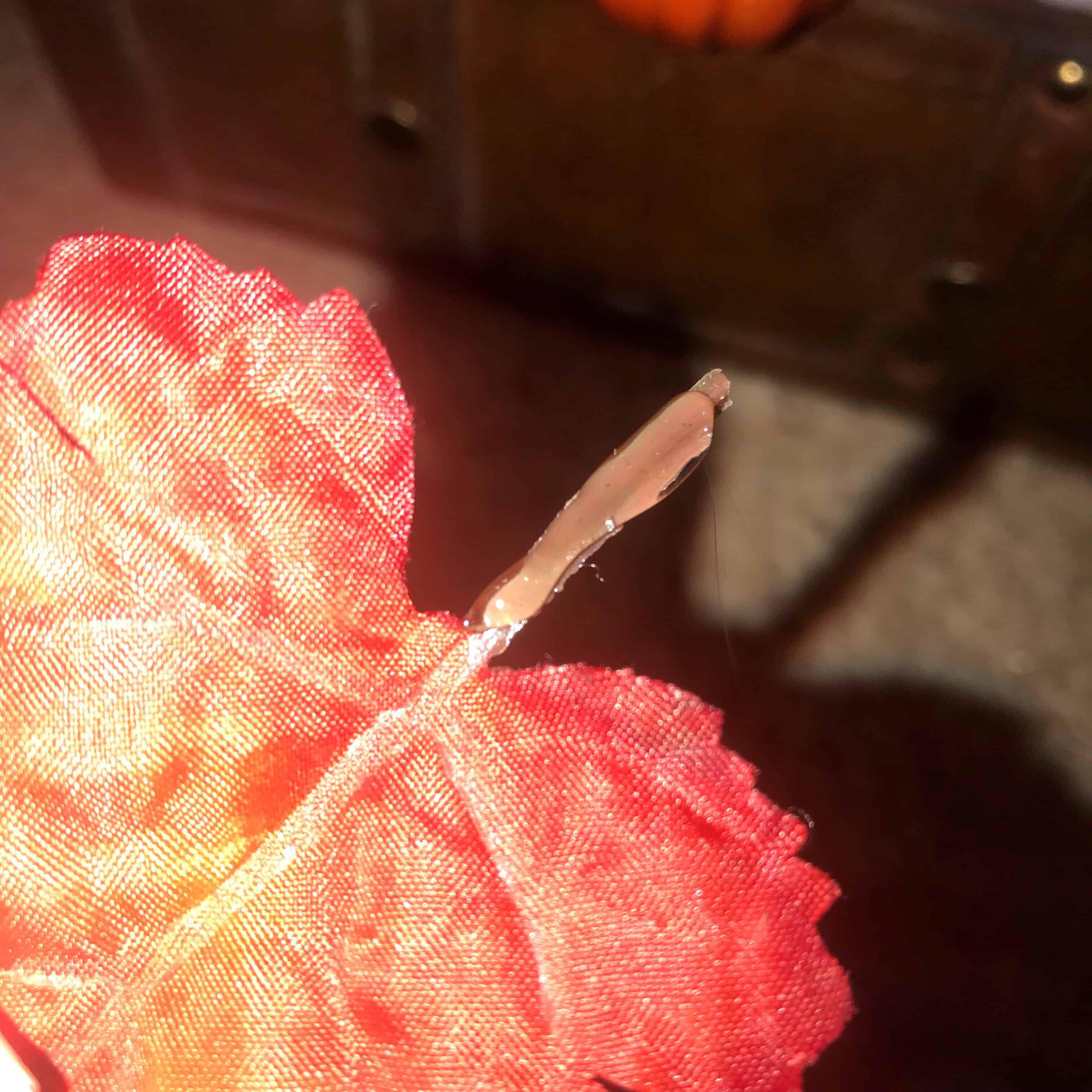 orange flowers white pumpkins burlap pumpkins fall home decor fall centerpiece diy fall centerpiece diy fall decor
