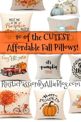 Fall Throw Pillow - Farmhouse Throw Pillow - Pumpkin Pillow - Cheap Farmhouse Pillows - Affordable Farmhouse Pillows