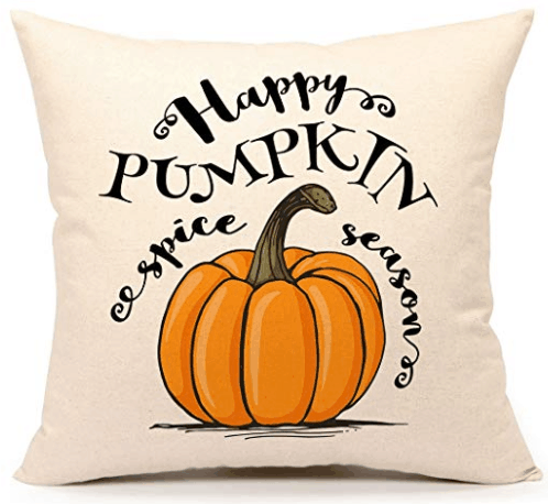 10 Fall Throw Pillows on Amazon for Cheap!