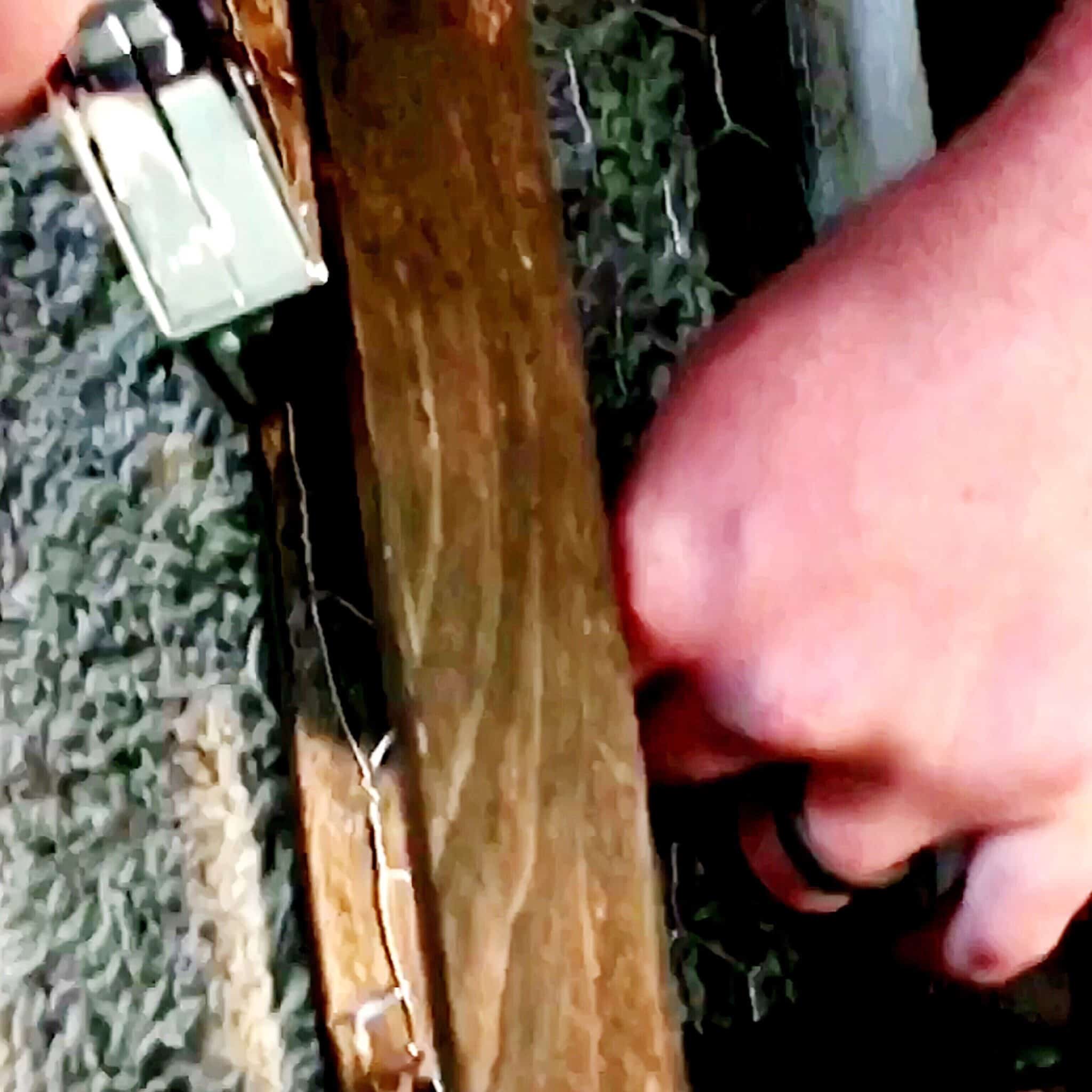 Man using staple gun to staple chicken wire onto wood planter