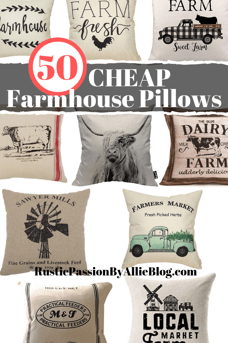 12 farmhouse throw pillows with text overlay - 50 cheap farmhouse pillows