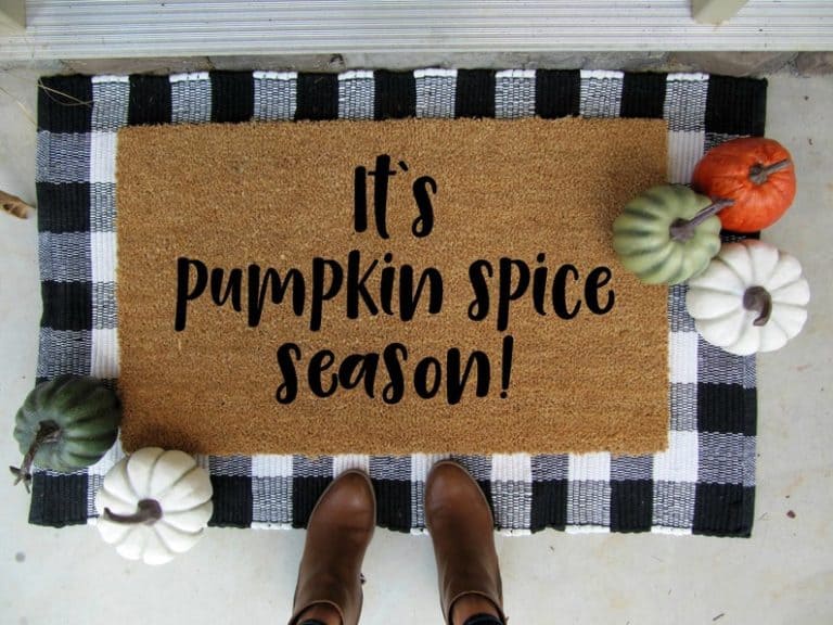 14 of the Cutest Affordable Fall Door Mats you need!