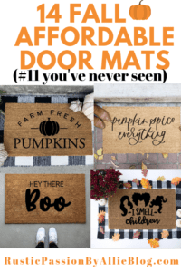 4 fall door mats with text overlay - 14 fall affordable door mats #11 you've never seen.