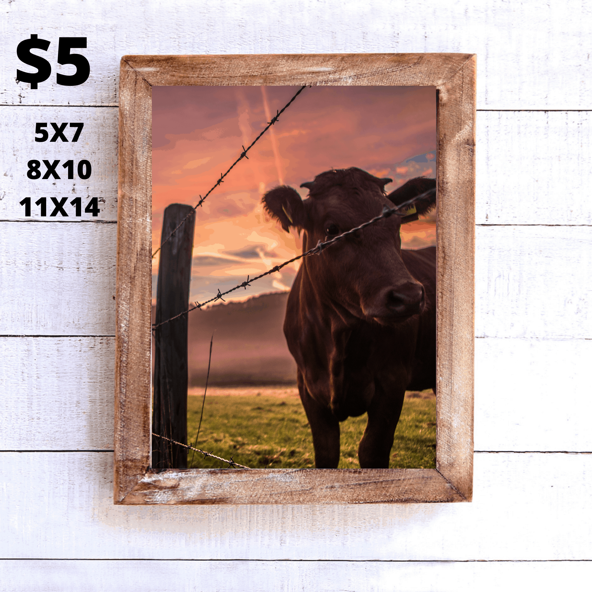 Red-cow-sunset-print