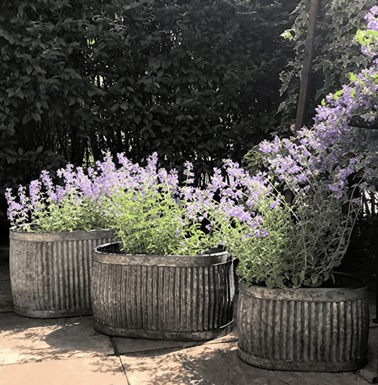 Step By Step Guide To Use A Galvanized Tub Planter Creating The Perfect Garden.