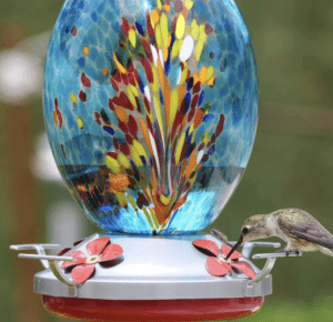 best-hummingbird-feeder-ever-2