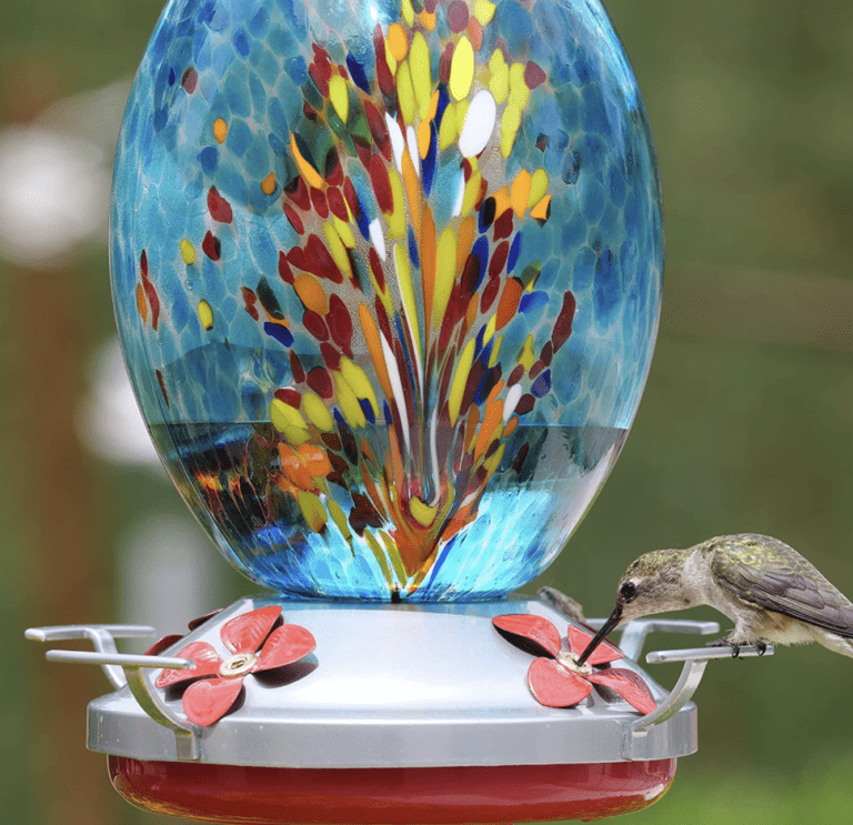 This Is The Best Hummingbird Feeder Ever.