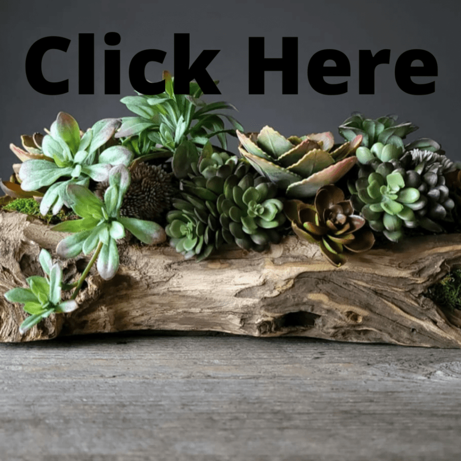 29 Unique Ways To Display Fake Succulent Arrangements.