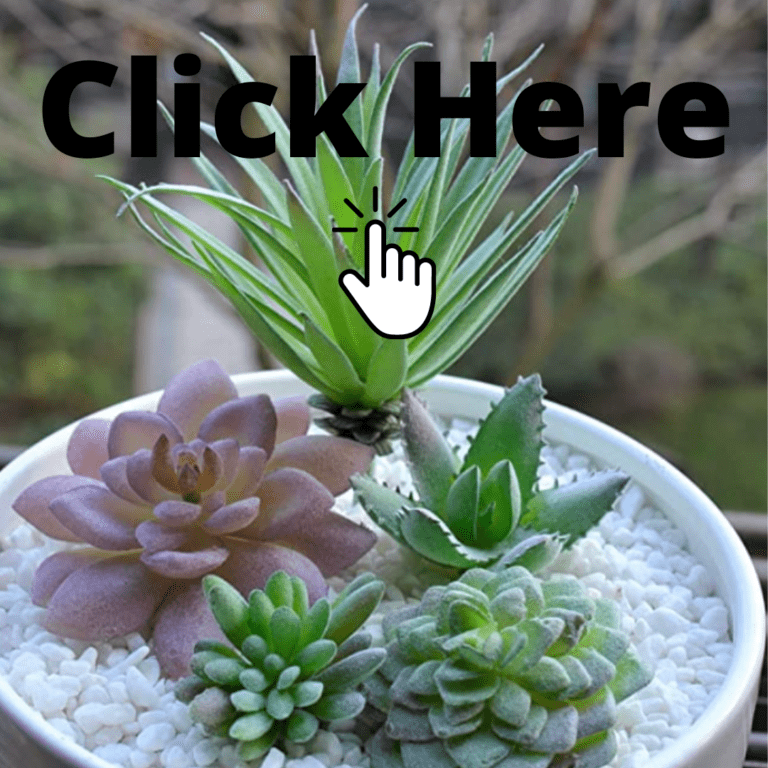 29 Unique Ways To Display Fake Succulent Arrangements.