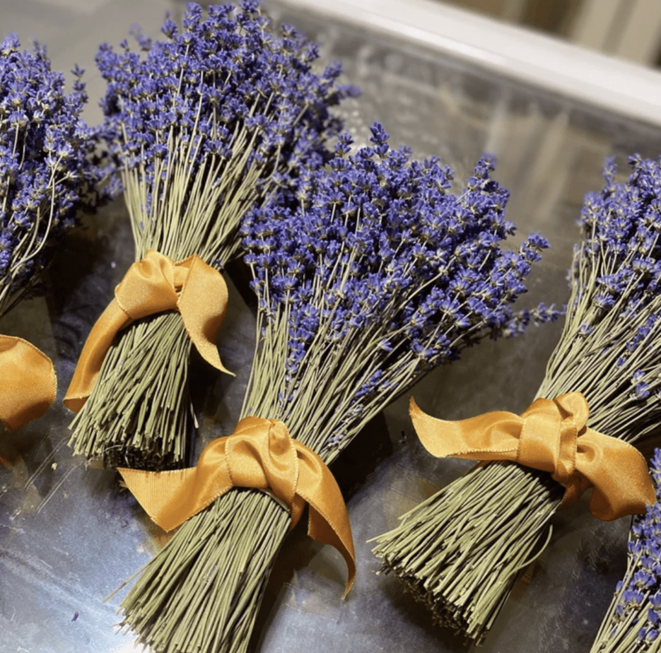 lavender stems