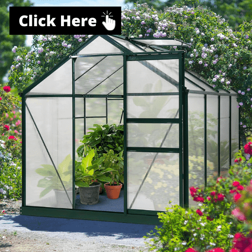 The VERY Best Small Greenhouse Options For All Year Round.