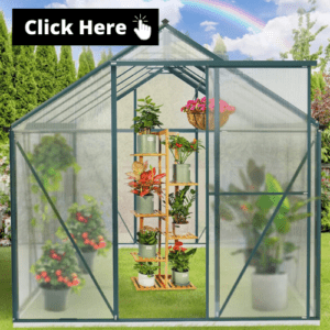 best-small-greenhouse-3