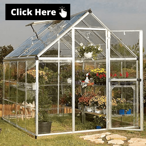 The VERY Best Small Greenhouse Options For All Year Round.