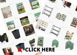 best-small-greenhouse-6