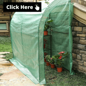 greenhouse-attached-to-home-2