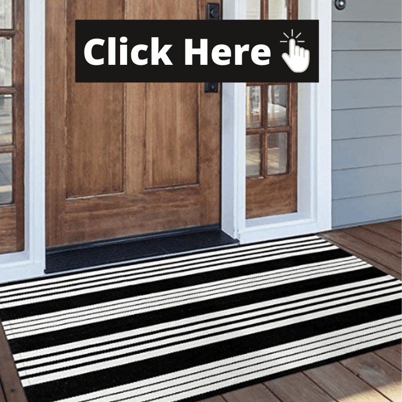 Layered Front Door Mats - Transitional - Porch